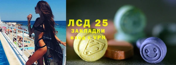 стафф Горнозаводск
