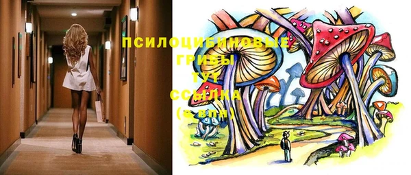 стафф Горнозаводск