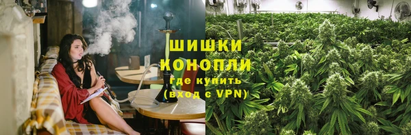 стафф Горнозаводск