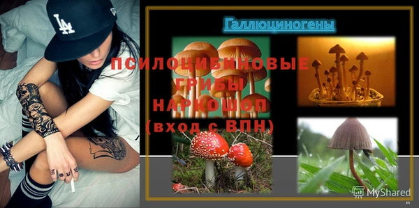 стафф Горнозаводск