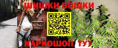 крисы Гай