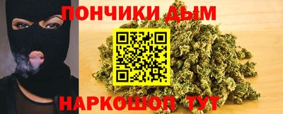 крисы Гай