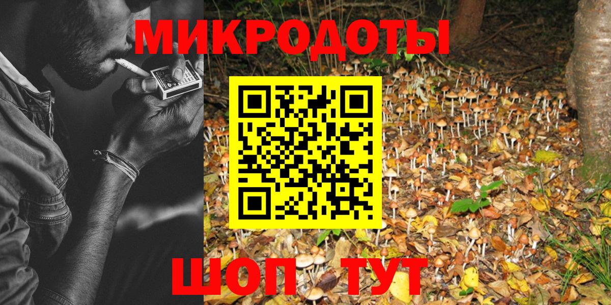Москва  Псилоцибиновые грибы прущие грибы  что такое   Вход с VPN  Галлюциногенные грибы мицелий 
